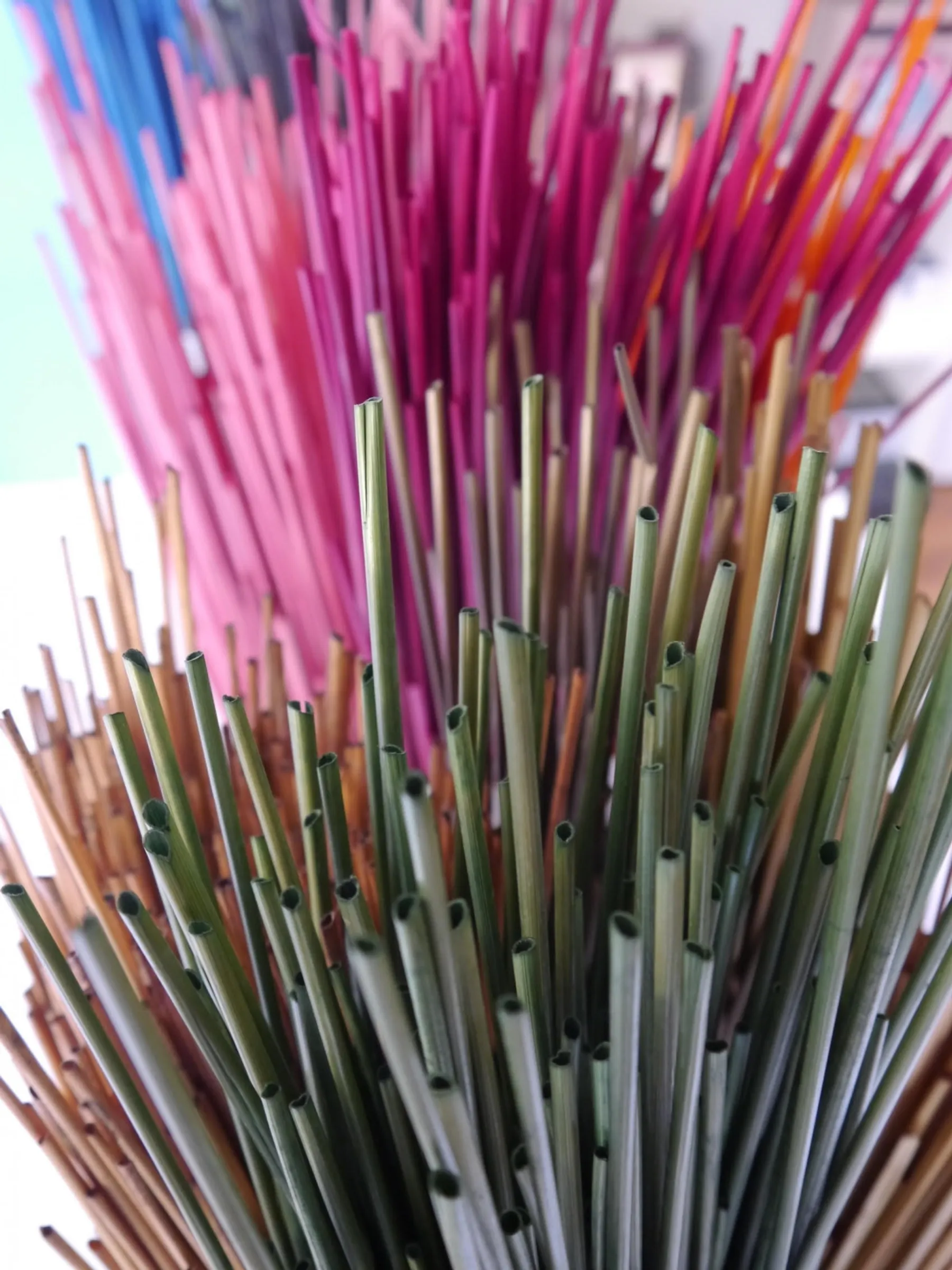 Créez votre cadre en marqueterie de paille avec Nathalie - Image n°1 - Wecandoo