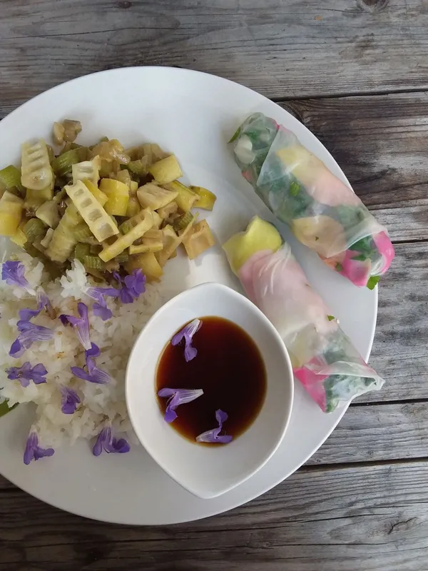 Cueillez et cuisinez des plantes sauvages - Afbeelding nr. 3 - Wecandoo