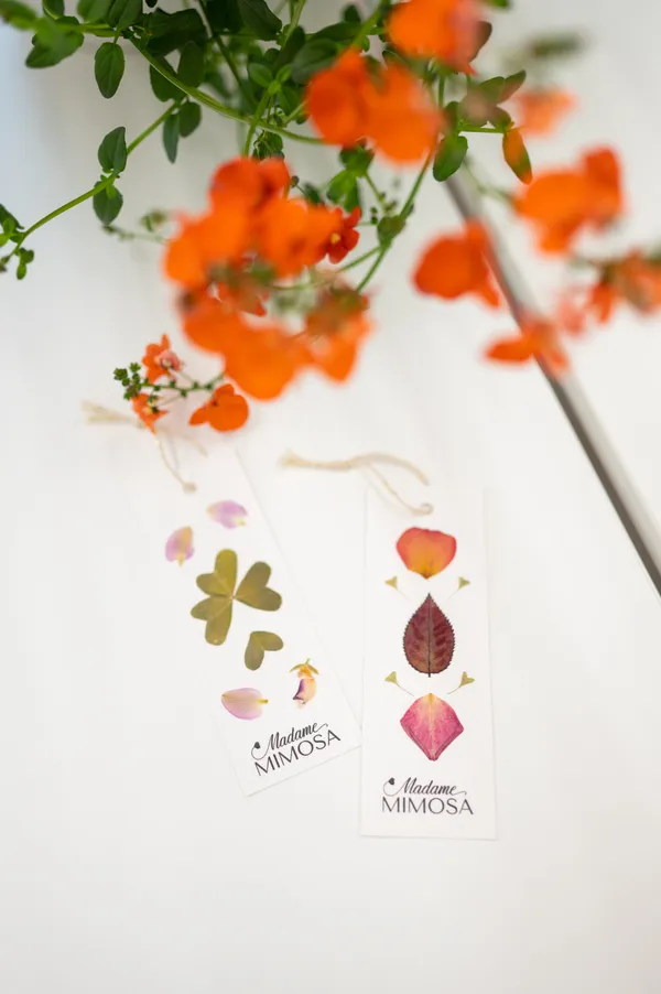 Fabrique ton marque-page fleuri - Image n°2 - Wecandoo