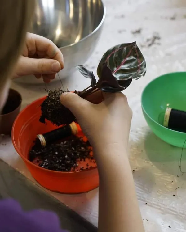 Créez vos kokedamas en duo avec votre enfant - Image n°2 - Wecandoo