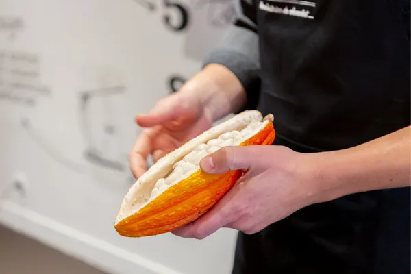 Fabriquez votre tablette en chocolat - Image n°1 - Wecandoo