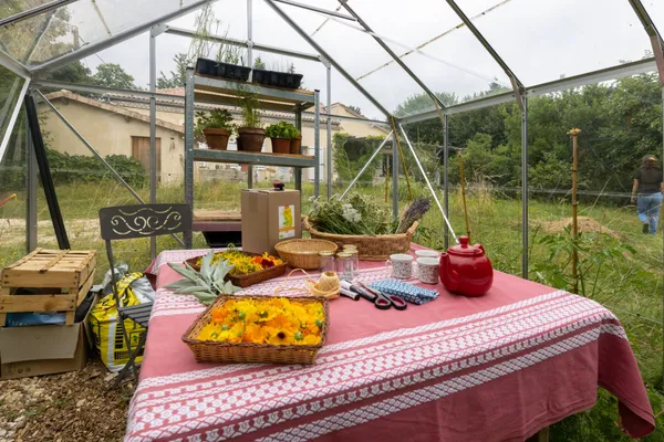 Découvrez l'herboristerie sur une demi-journée - Image n°1 - Wecandoo