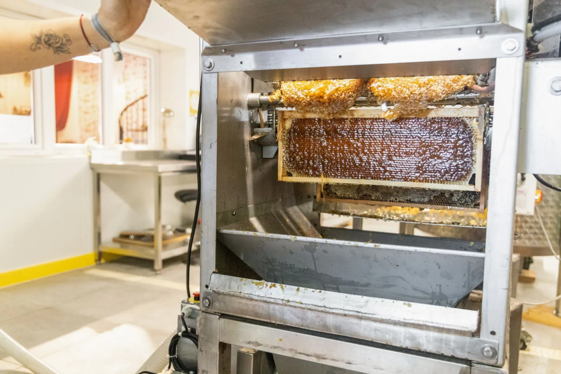 Initiez-vous à l'apiculture - Image n°3 - Wecandoo