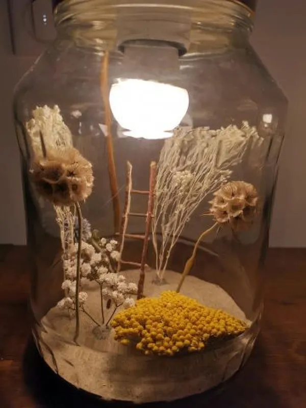 Wecandoo - Fabriquez votre luminaire  bocal