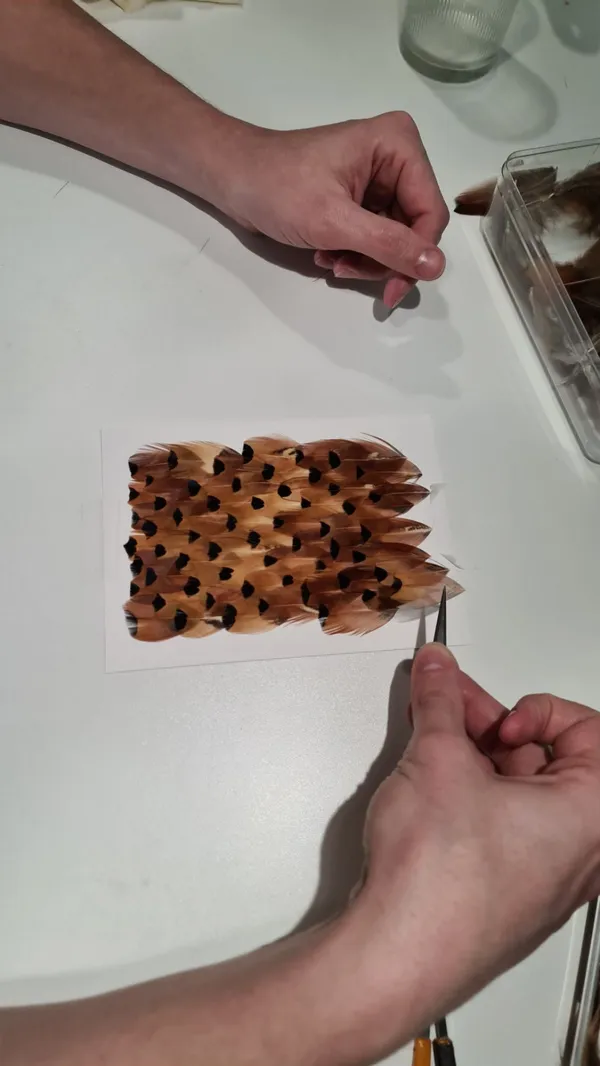 Wecandoo - Initiez-vous à la plumasserie