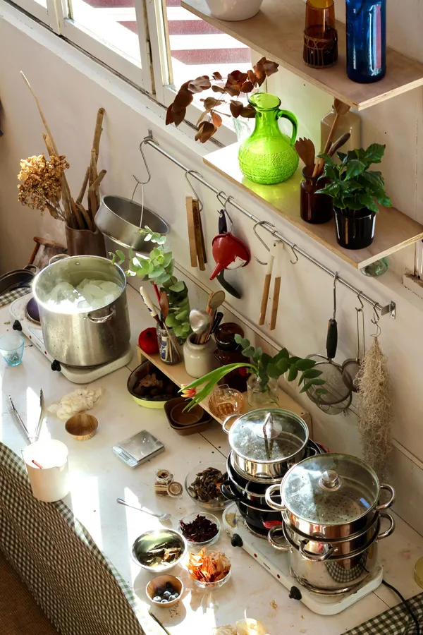 Initiez-vous à la teinture végétale - Image n°2 - Wecandoo