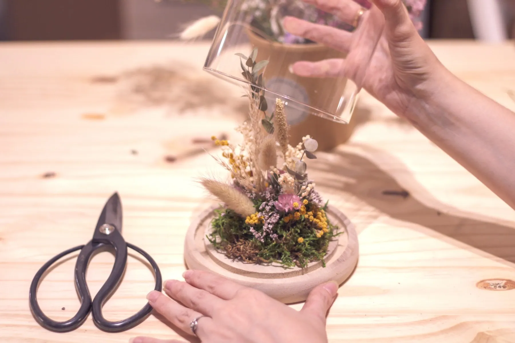 Créez votre cloche végétale - Image n°4 - Wecandoo