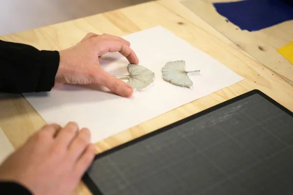 Initiez-vous à la linogravure avec Marily - Image n°3 - Wecandoo