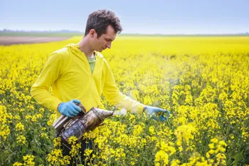 Julien : Apiculteur à Essonne