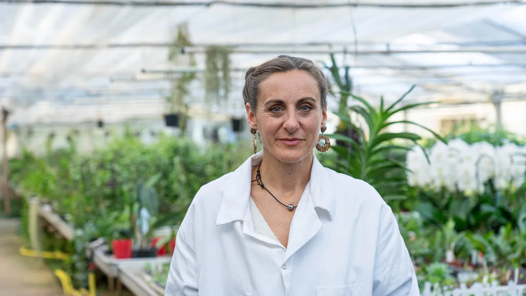 Virginie : Fabricante de Cosmétiques à Var (83)