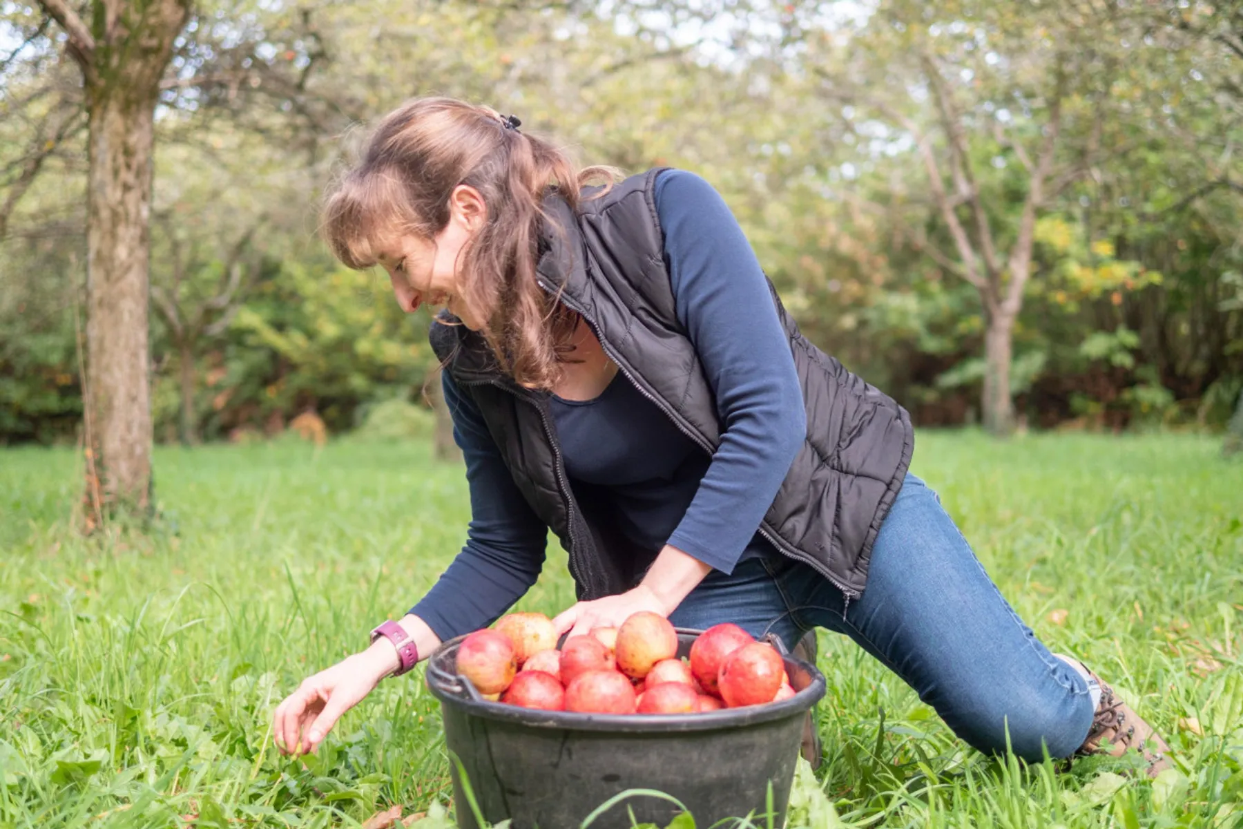Dégustez du cidre artisanal - Image n°1 - Wecandoo