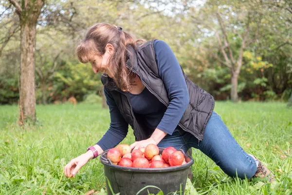 Dégustez du cidre artisanal - Image n°1 - Wecandoo