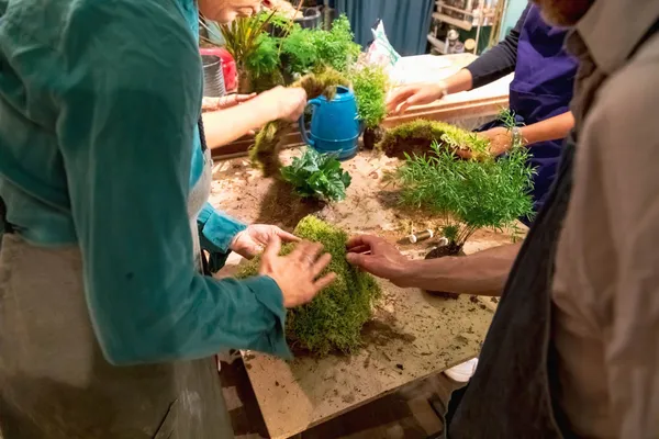 Wecandoo - Créez un kokedama