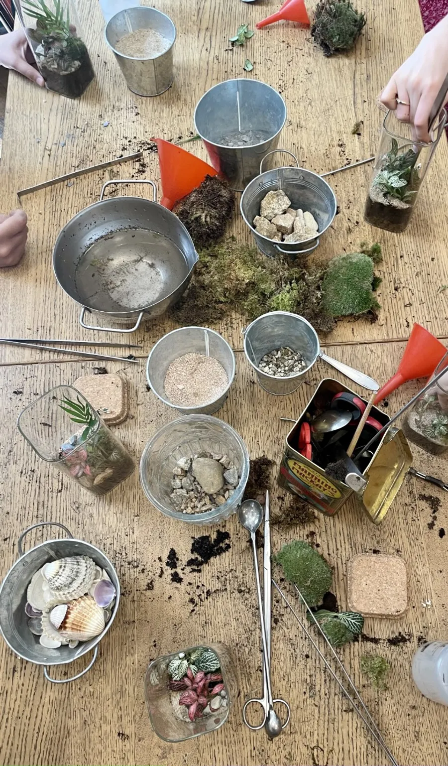 Réunissez votre équipe et créez vos terrariums - Image n°1 - Wecandoo