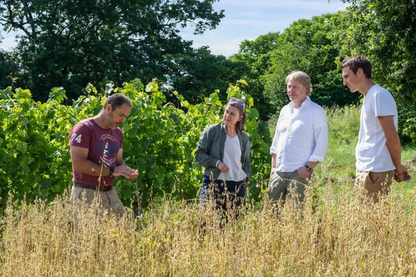 Participez à la fabrication du vin et découvrez l'écoulage des amphores - Image n°1 - Wecandoo