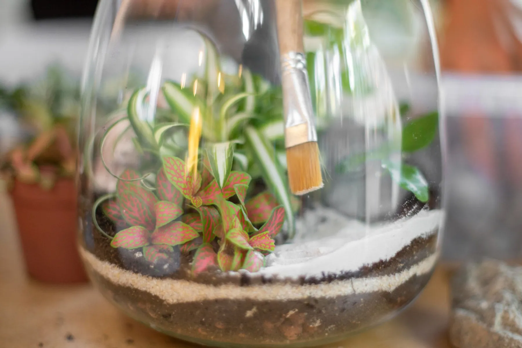 Créez votre terrarium lumineux - Image n°2 - Wecandoo