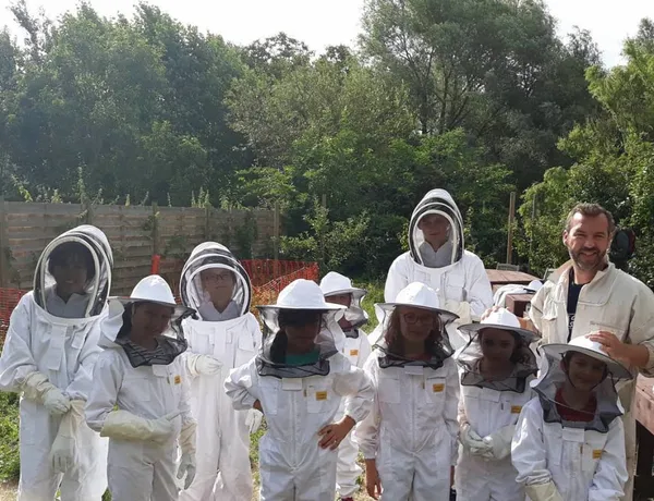 Initiez-vous à l'apiculture en famille - Image n°2 - Wecandoo