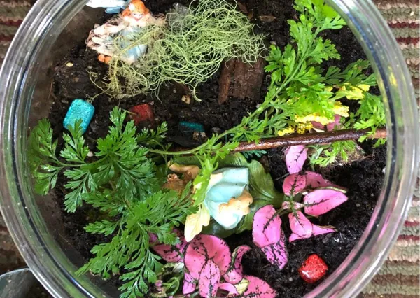 Créez votre terrarium moyen - Image n°1 - Wecandoo