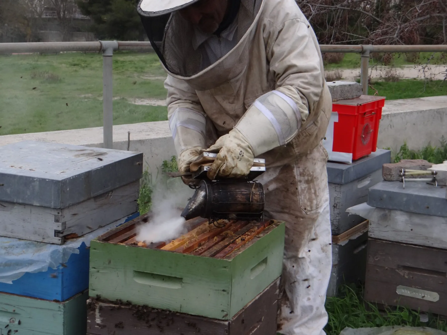 Initiez-vous à l'apiculture - Image n°4 - Wecandoo