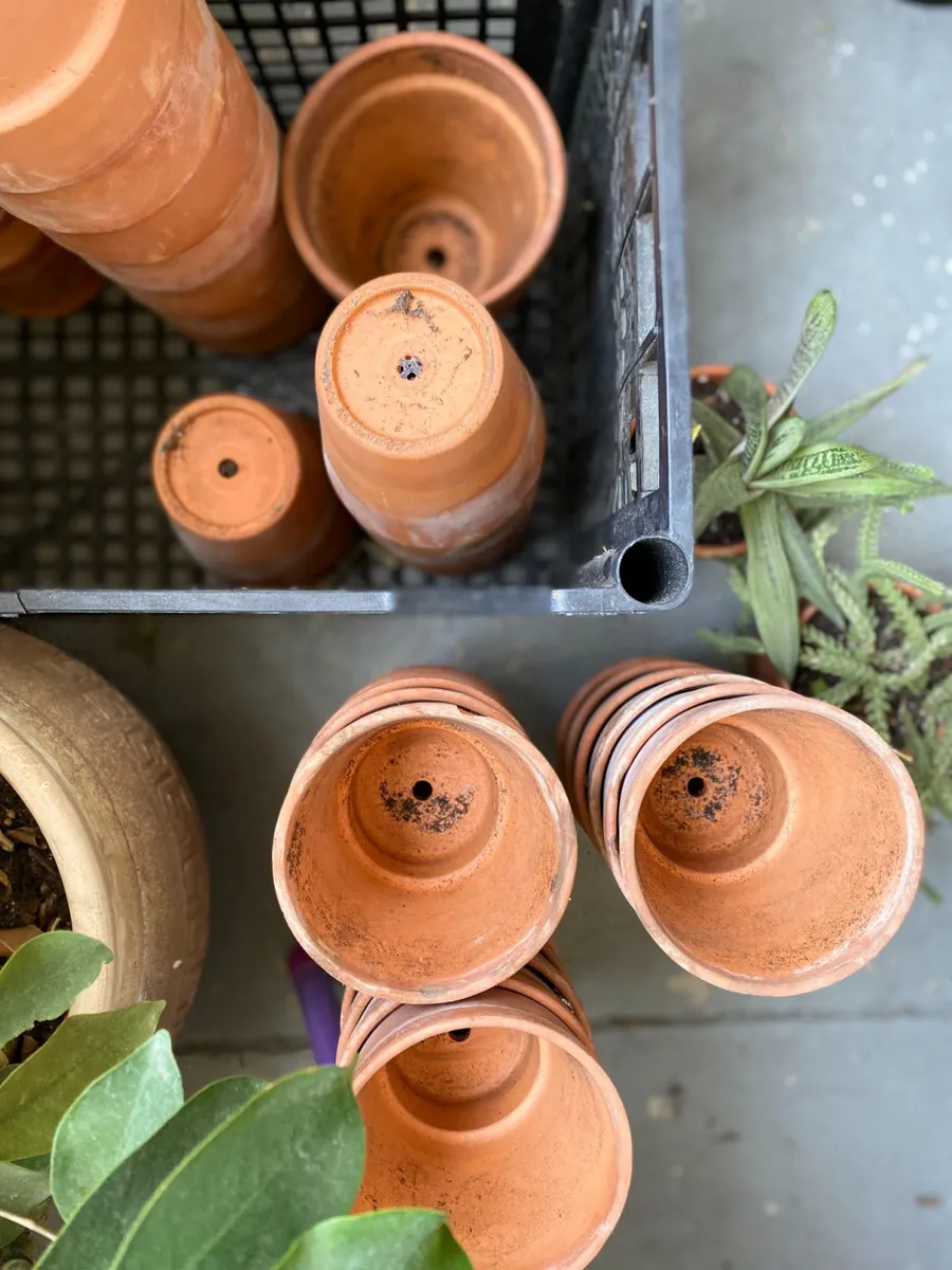 Apprenez à rempoter et à entretenir vos plantes vertes - Image n°1 - Wecandoo