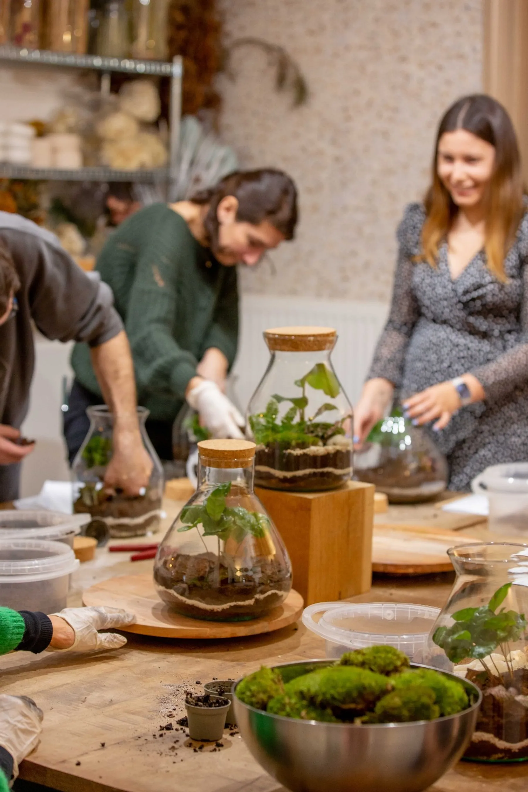 Composez votre terrarium - Image n°4 - Wecandoo