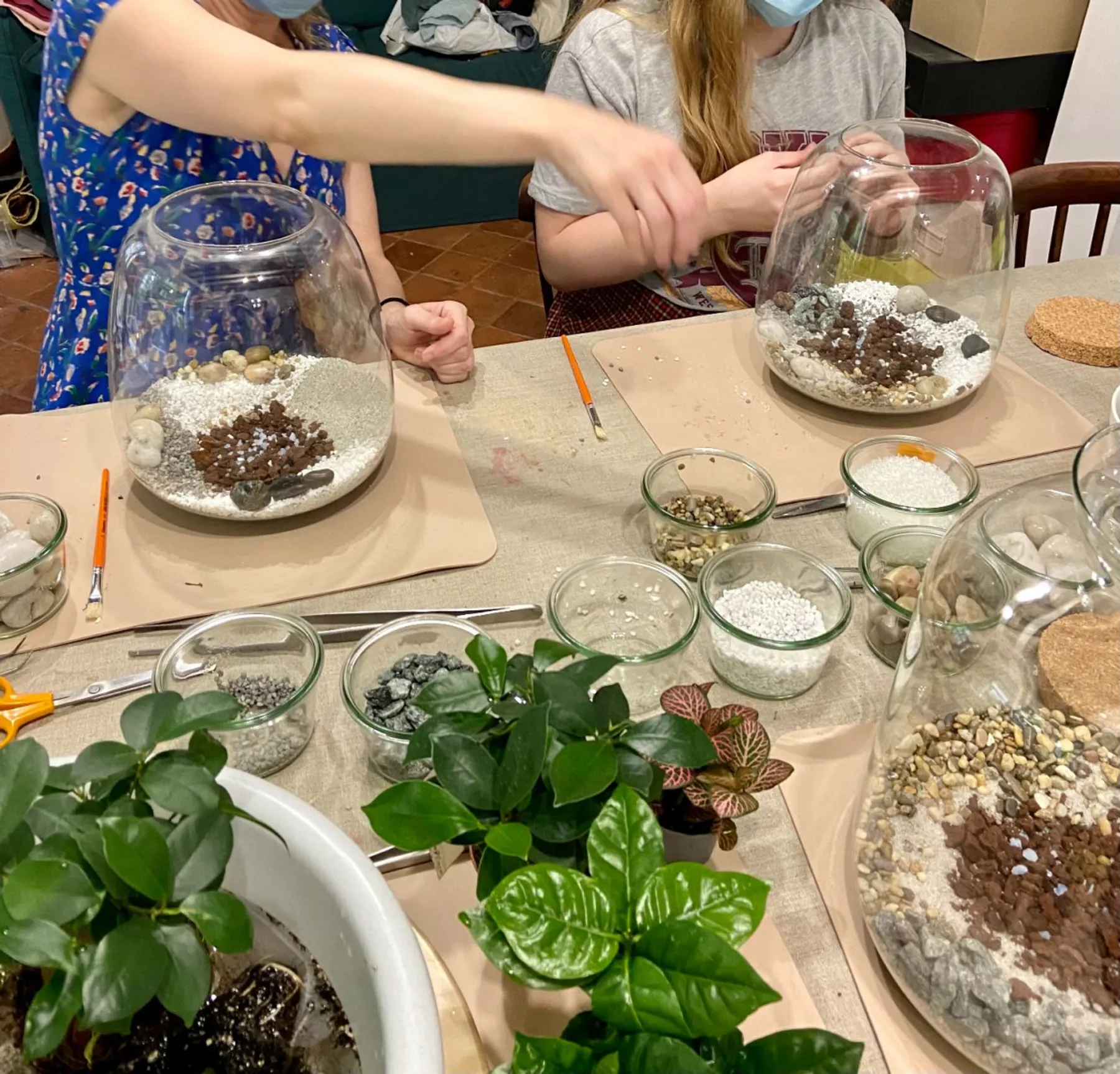 Créez votre terrarium en famille - Image n°5 - Wecandoo