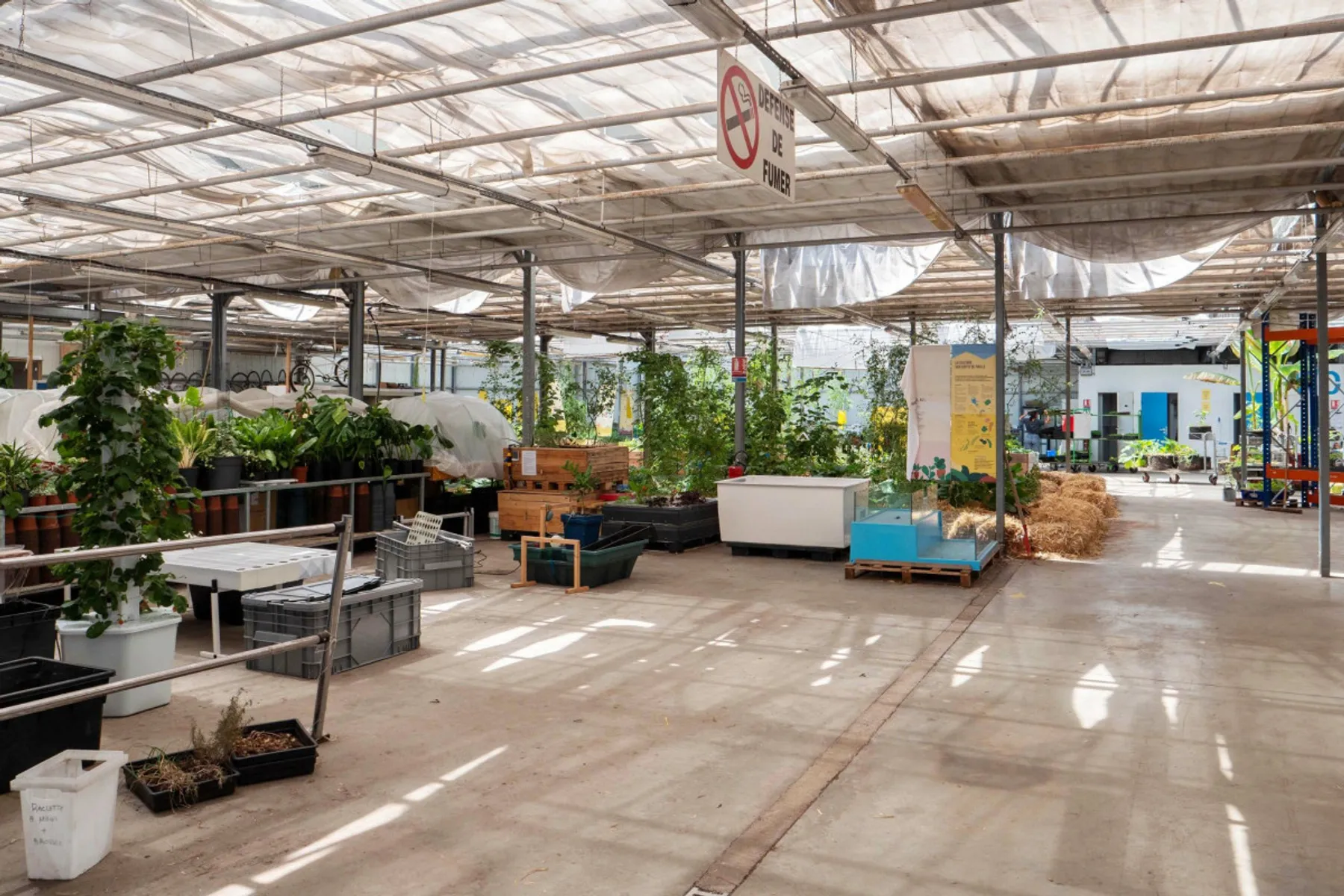 Réalisez vos semis et boutures de plantes favorites dans une ferme urbaine - Image n°1 - Wecandoo