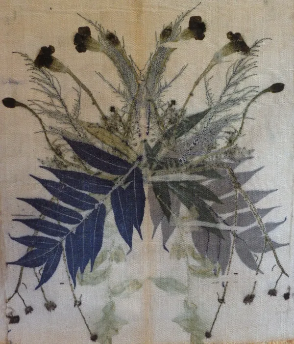 Imprimez votre tote bag en ecoprint sur une journée - Image n°3 - Wecandoo