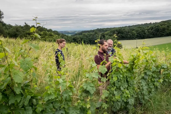 Assemblez votre cuvée - Afbeelding nr. 3 - Wecandoo