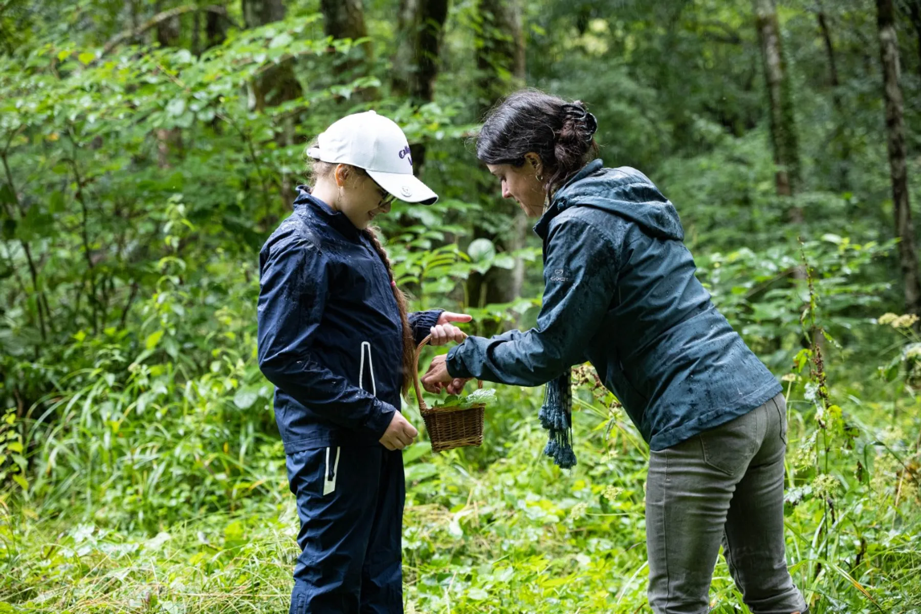 Initiez-vous à la cueillette sauvage - Image n°3 - Wecandoo