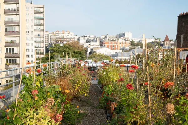 Visitez une ferme urbaine en plein Paris - Image n°1 - Wecandoo