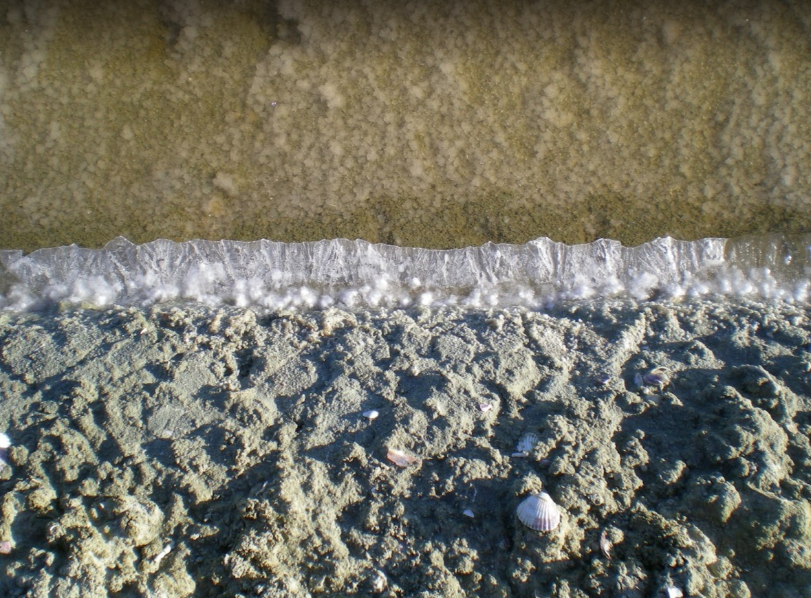 Wecandoo - Récoltez votre fleur de sel dans un marais salant - Image n°6