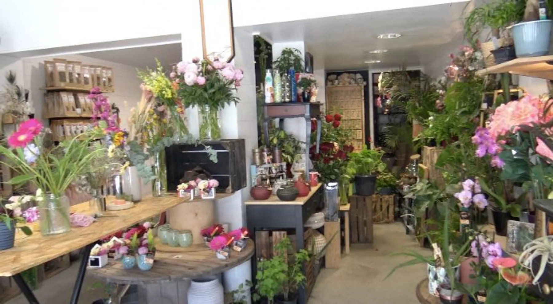 Créez votre terrarium - Image n°1 - Wecandoo