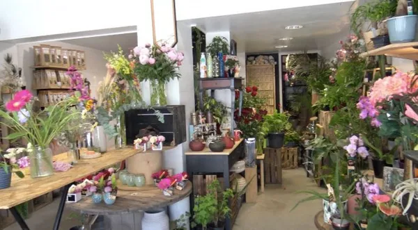 Créez votre terrarium - Image n°1 - Wecandoo