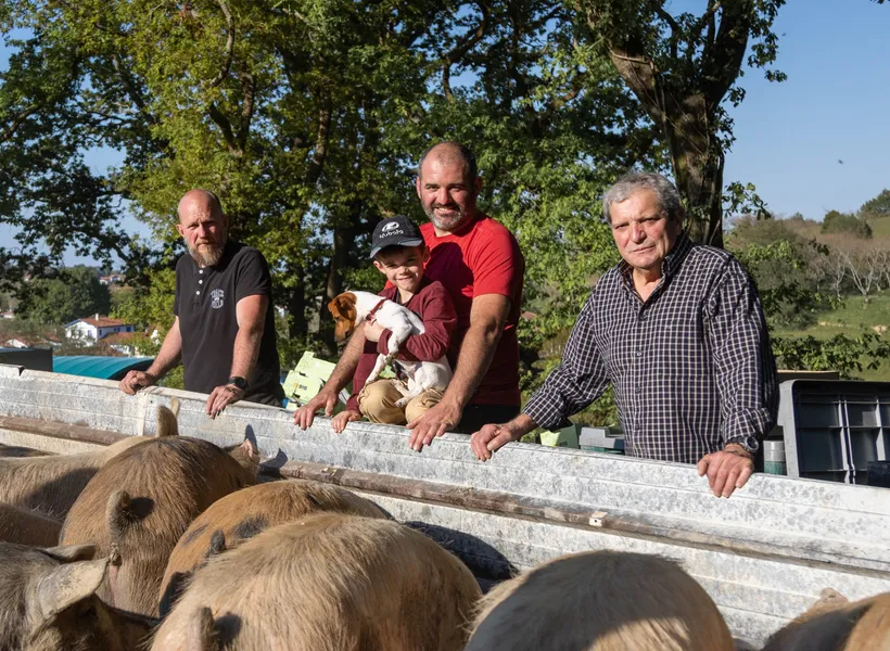 Laurent : Eleveur et Paysan Boucher à Pays Basque