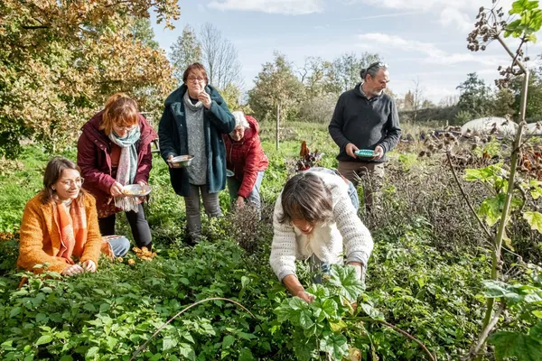 Concevez votre tisane à base de plantes médicinales - Afbeelding nr. 2 - Wecandoo