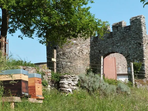 Wecandoo - Découvrez l'apiculture sur une journée