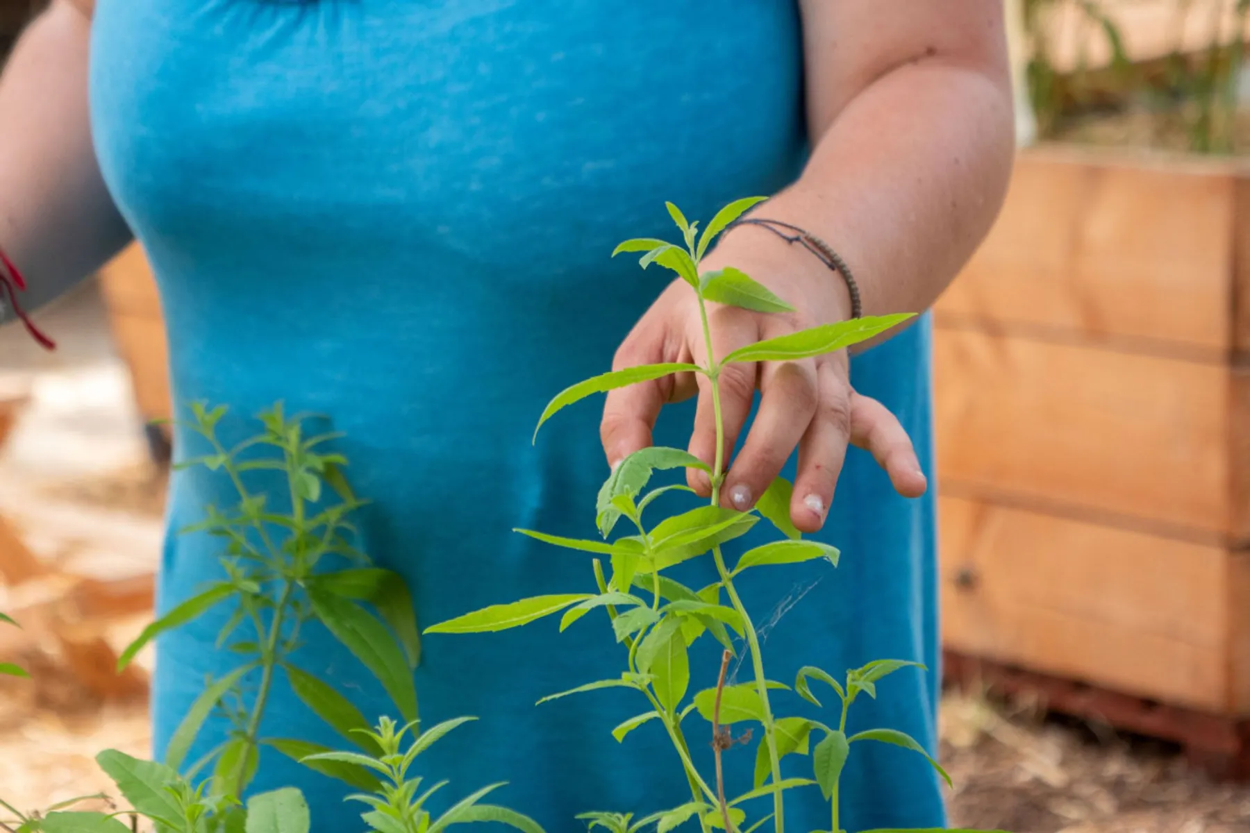 Réalisez vos semis et boutures de plantes favorites dans une ferme urbaine - Image n°3 - Wecandoo