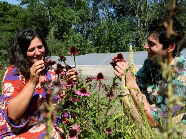 Découvrez la pépinière et concevez un baume végétal - Image n°3 - Wecandoo