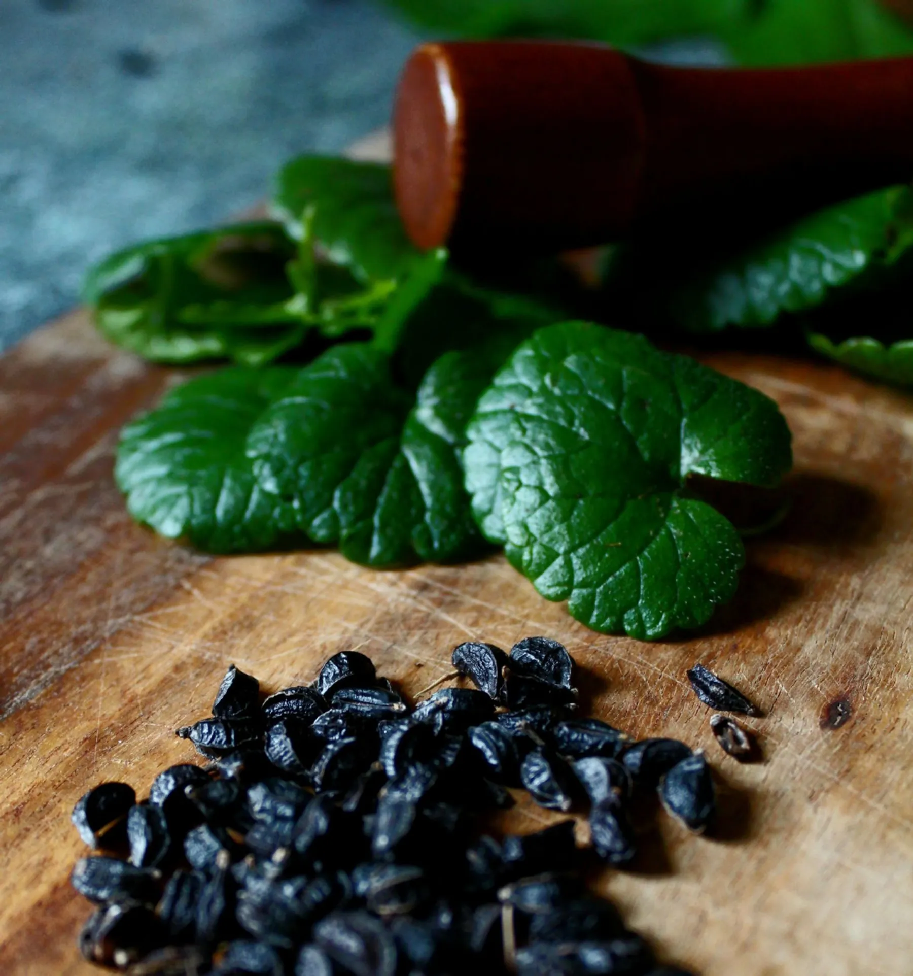 Cuisinez les plantes sauvages - Image n°4 - Wecandoo