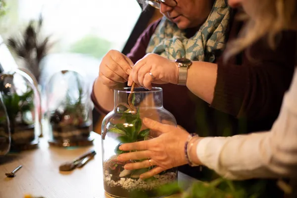 Composez votre terrarium - Afbeelding nr. 4 - Wecandoo