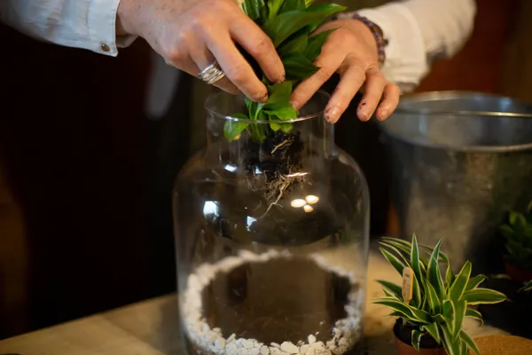 Composez votre terrarium - Afbeelding nr. 3 - Wecandoo