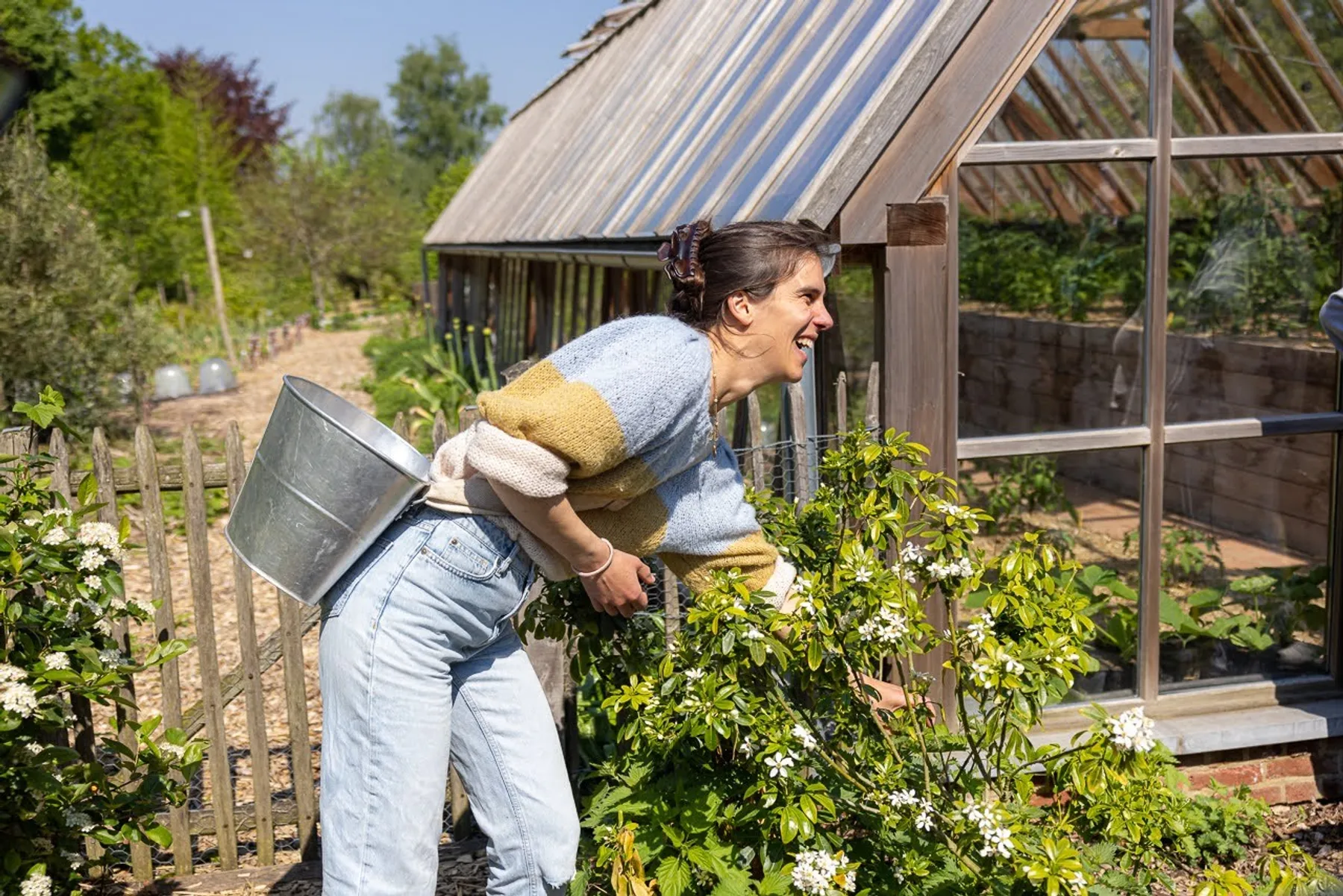 Pick your medicinal plants and concoct your natural tea or remedy - Image n°5 - Wecandoo