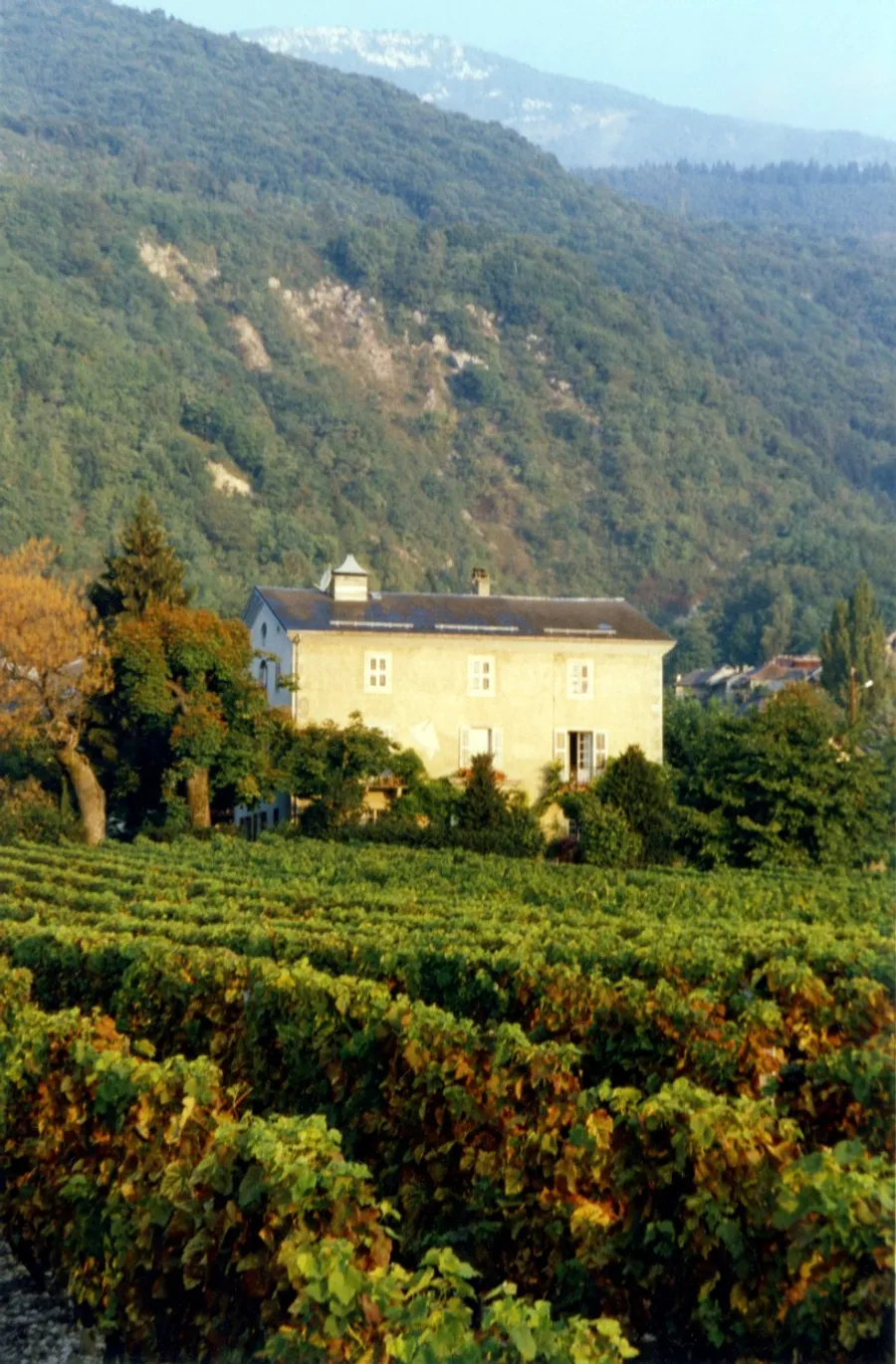 Dégustez des cépages alpins dans un domaine bio savoyard - Image n°1 - Wecandoo