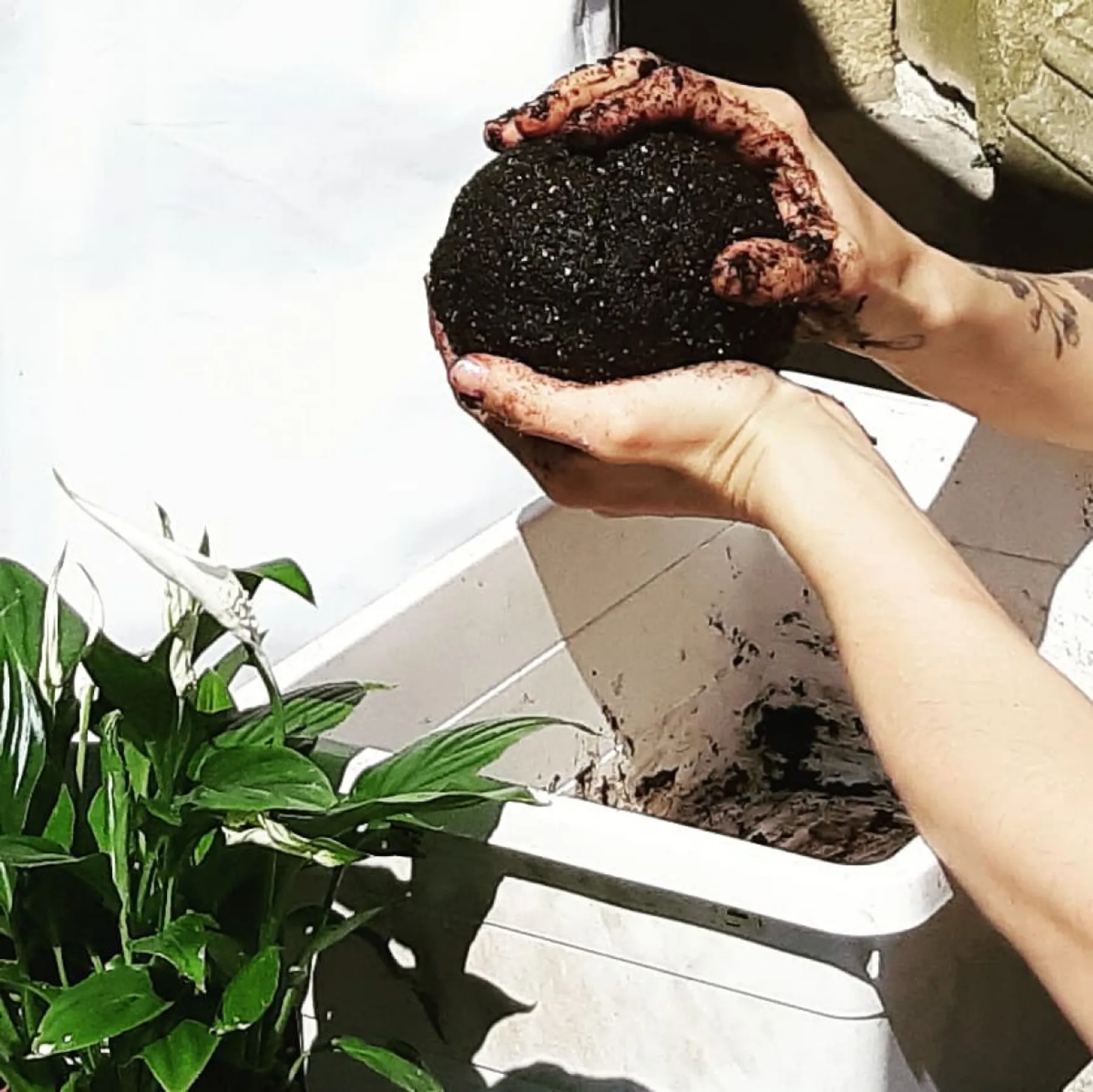 Créez votre Kokedama - Image n°3 - Wecandoo