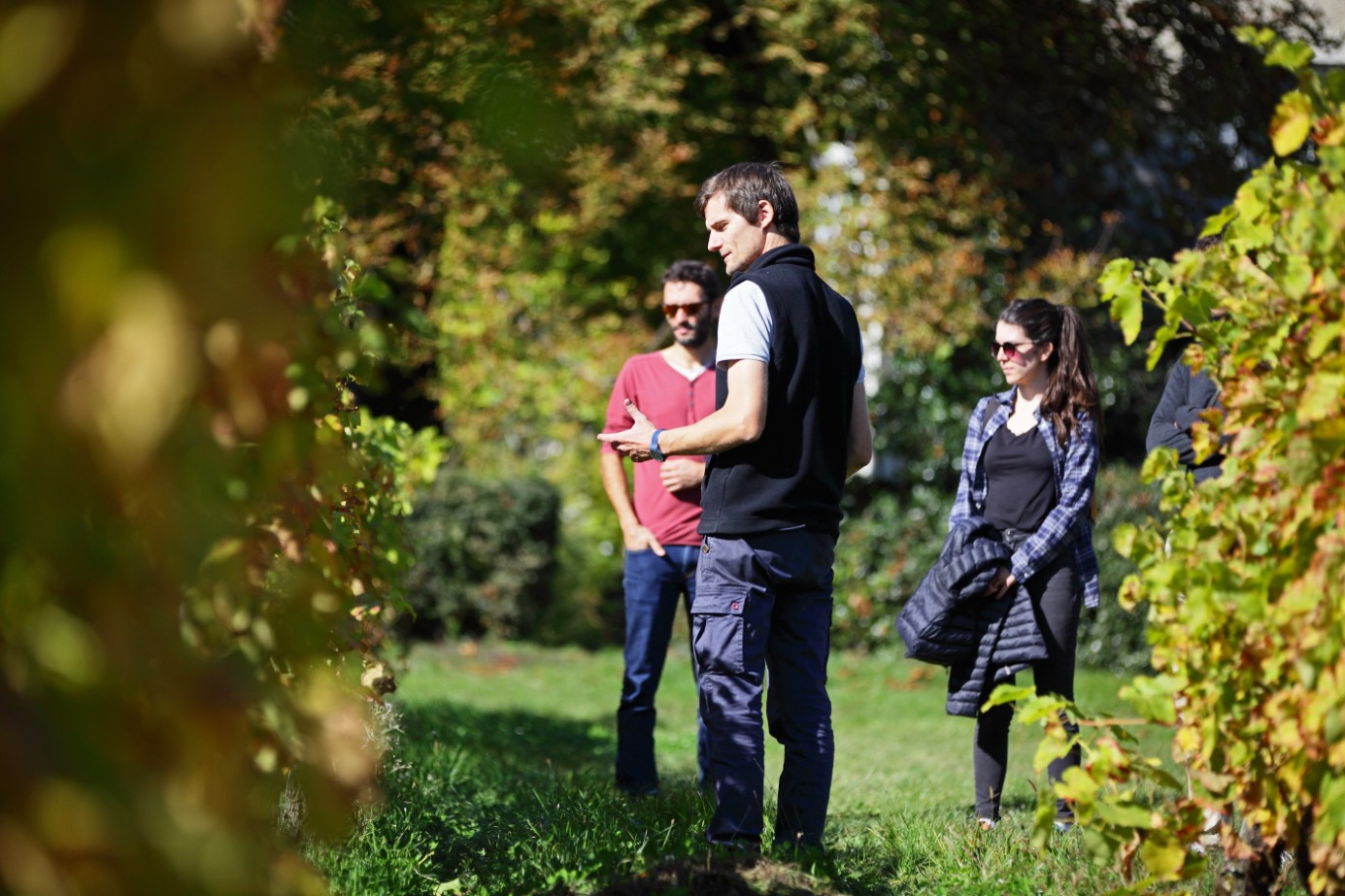 Wecandoo - Visitez un domaine viticole alpin et dégustez des vins de Savoie - Image n°7