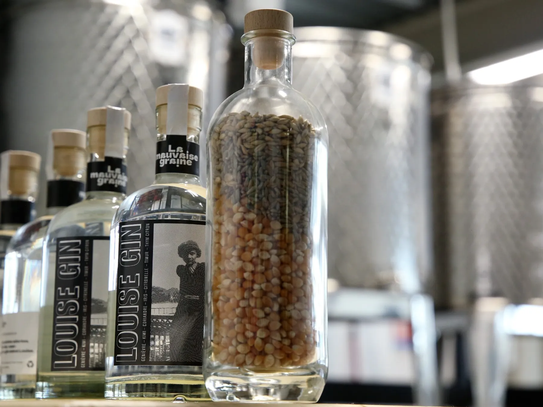 Visitez une microdistillerie de gin et initiez-vous au blending - Image n°2 - Wecandoo