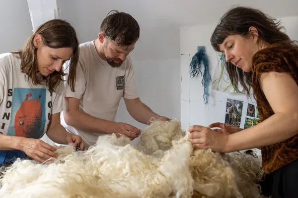 Train yourself to wool processing - 5 days - Image n°2 - Wecandoo