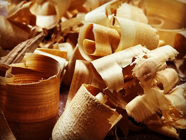 Initiez-vous à la sculpture sur bois - Image n°4 - Wecandoo