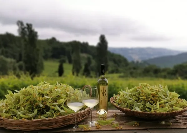 Wecandoo - Visitez un domaine viticole et dégustez 6 vins